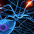 Mephenesin Powder | Spectrum Chemicals Australia