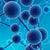 2-Fluorotoluene | Spectrum Chemicals Australia