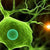 7-Methylguanosine | Spectrum Chemicals Australia