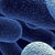 Methylmalonic Acid | Spectrum Chemicals Australia